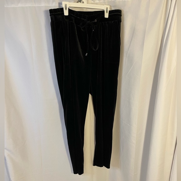 Torrid Velour Sweatpants Lounge Jogger pants NWT 14/16, size 1 - Picture 2 of 5